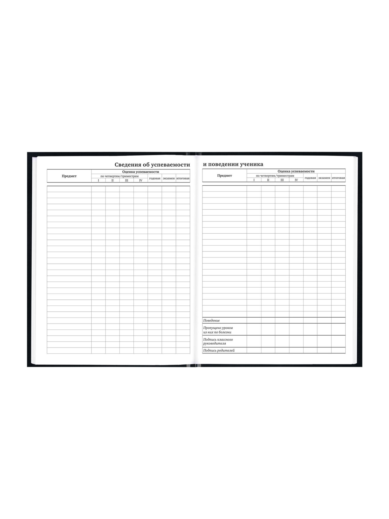 Дневник школьный Brauberg для девочек мальчика 1-11 класс твердый 40 листов - фото 11