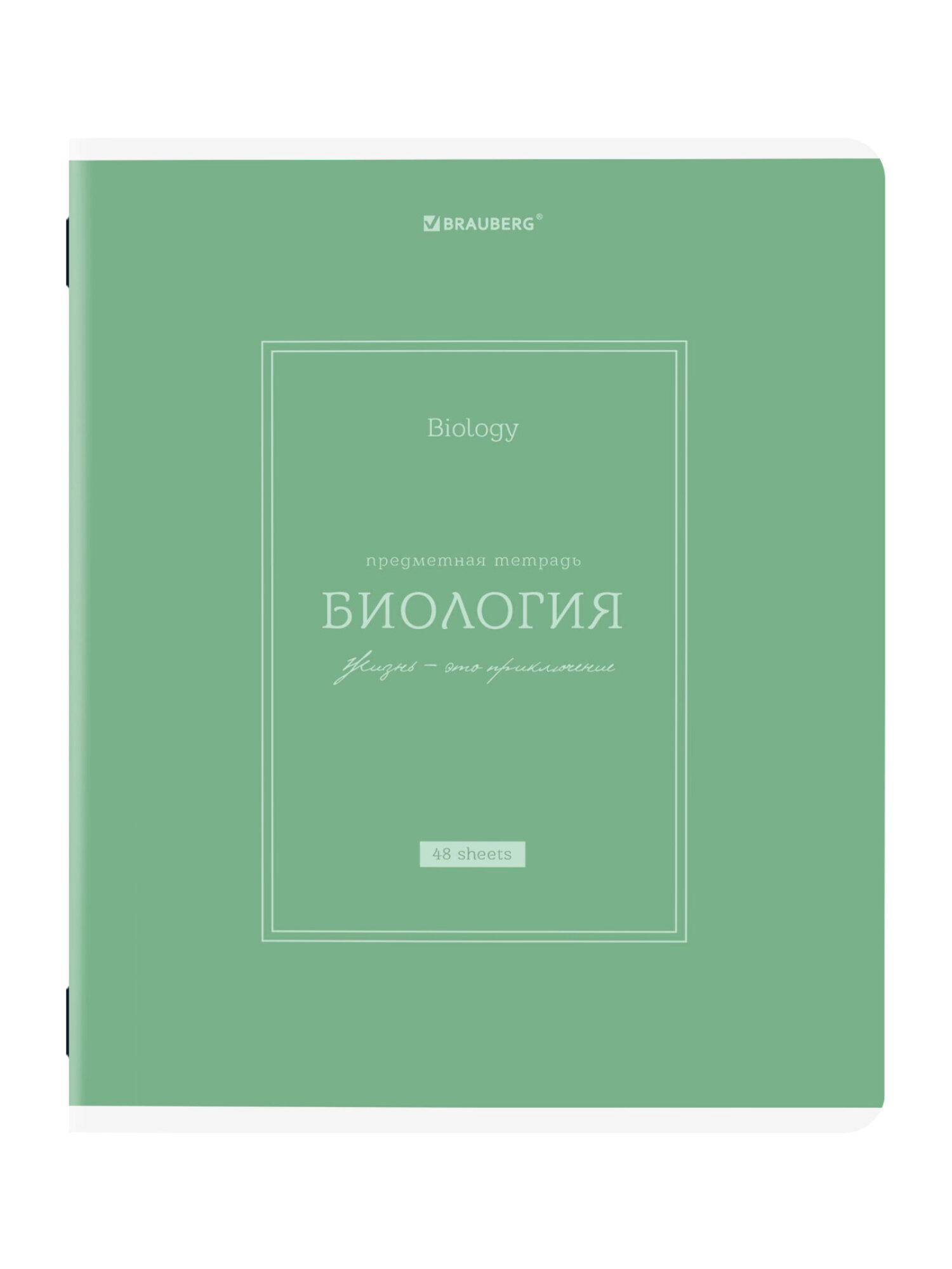 Тетрадь Brauberg 48 лист. 12 шт. - фото 21