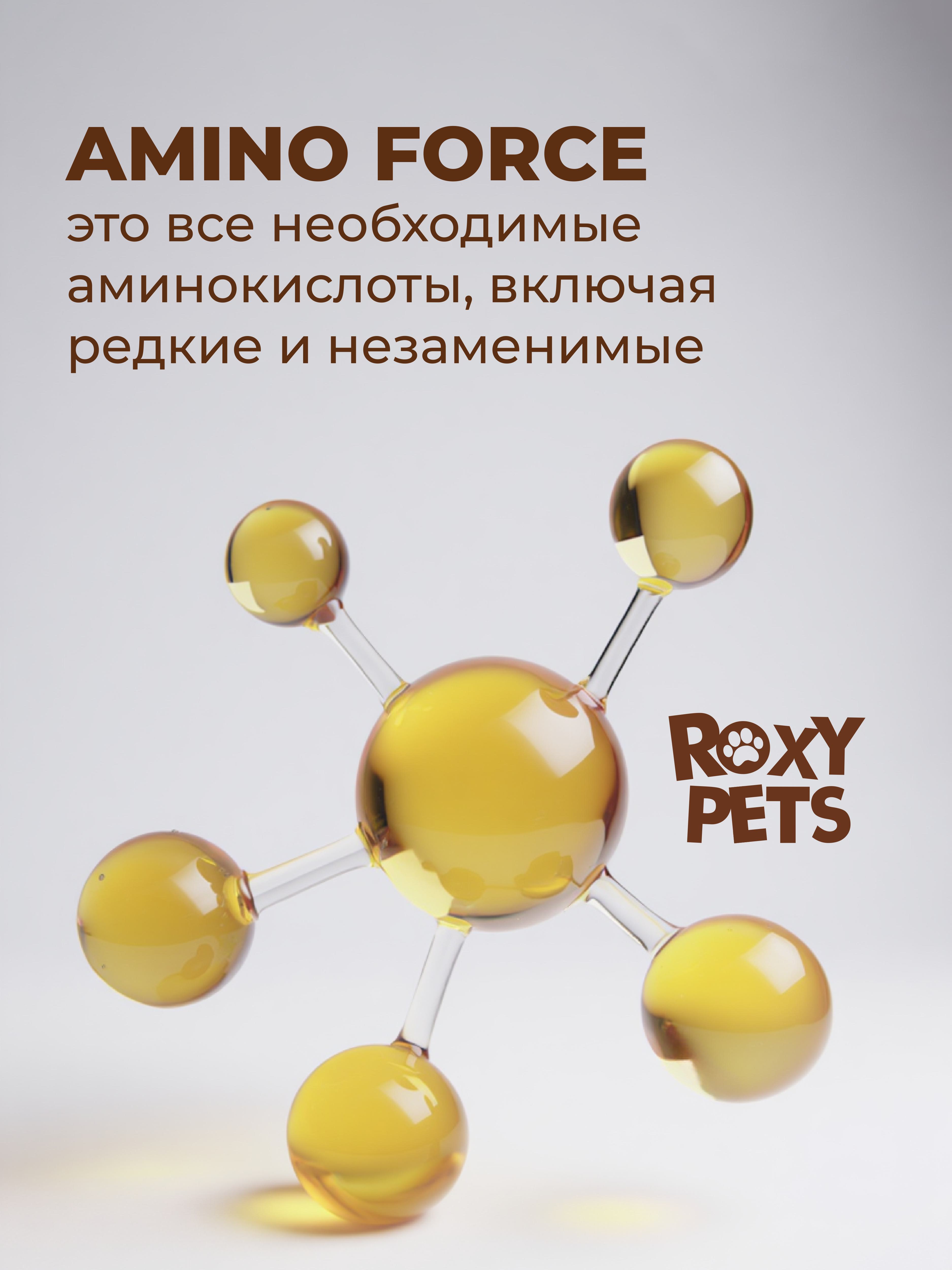 Лакомства Roxy Pets для собак и щенков ROXY PETS из вяленого куриного филе - фото 4