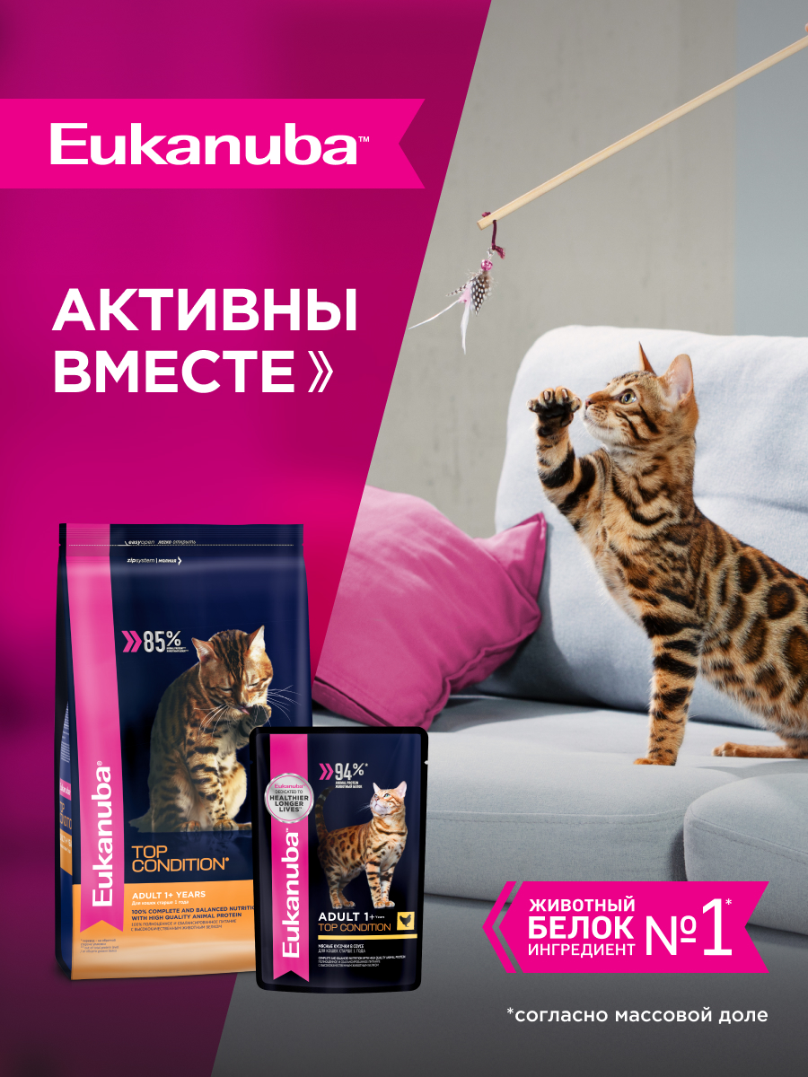 Корм сухой для кошек Eukanuba Cat 400г с домашней птицей - фото 9
