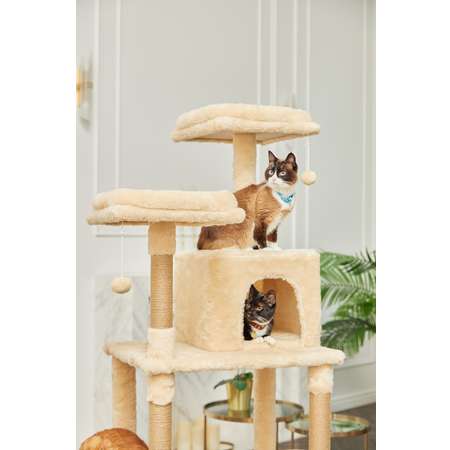 Игровой комплекс для кошек дом Pet БМФ Бежевый