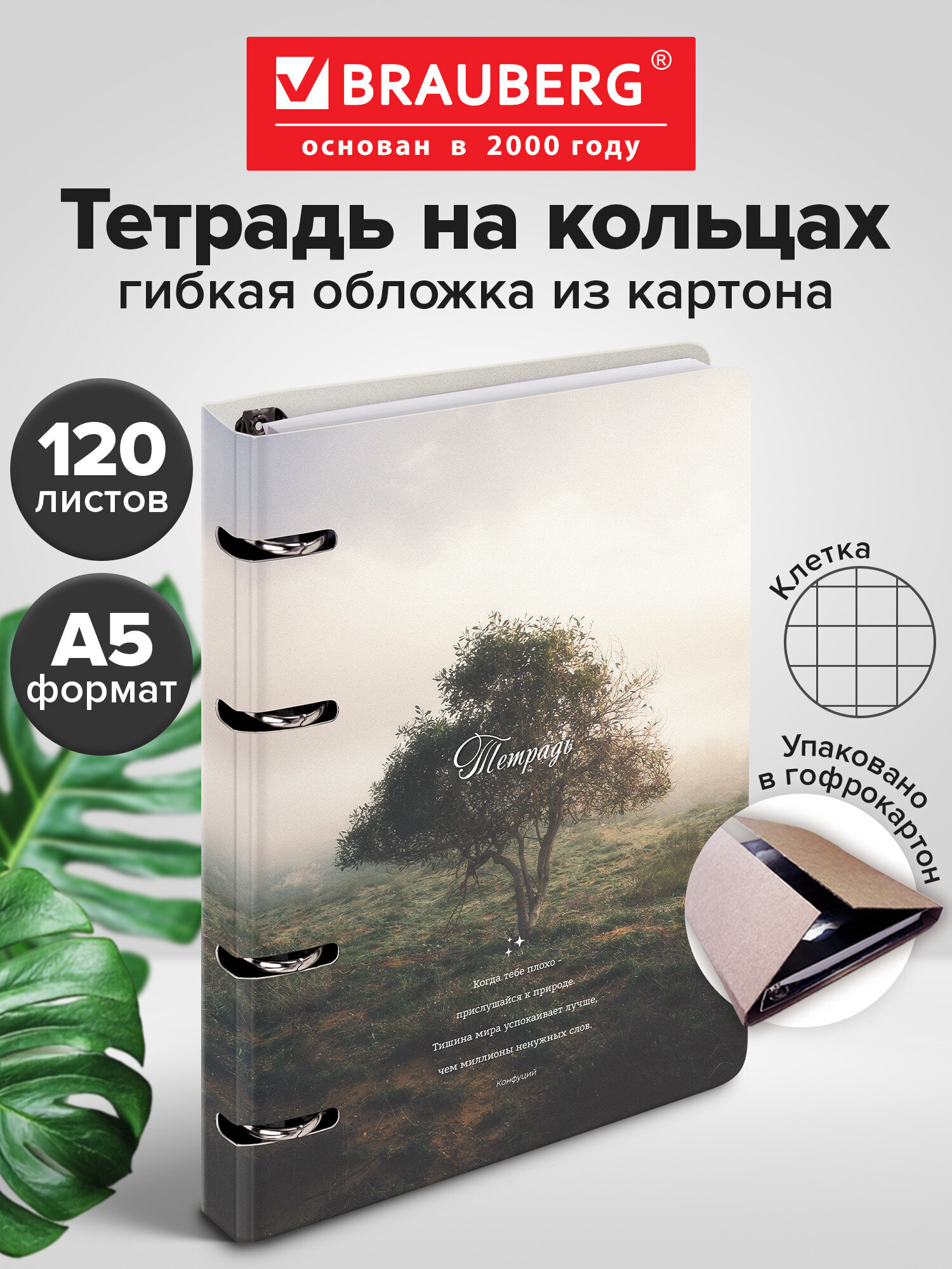 Тетрадь Brauberg клетка 120 лист. - фото 1