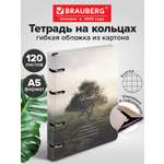 Тетрадь Brauberg клетка 120 лист.
