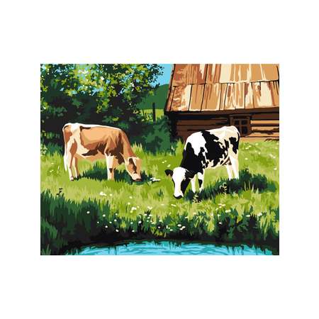 Картина по номерам Hobby Paint Деревенский полдень в ассортименте