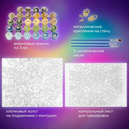 Картина по номерам Остров Сокровищ Ромашки