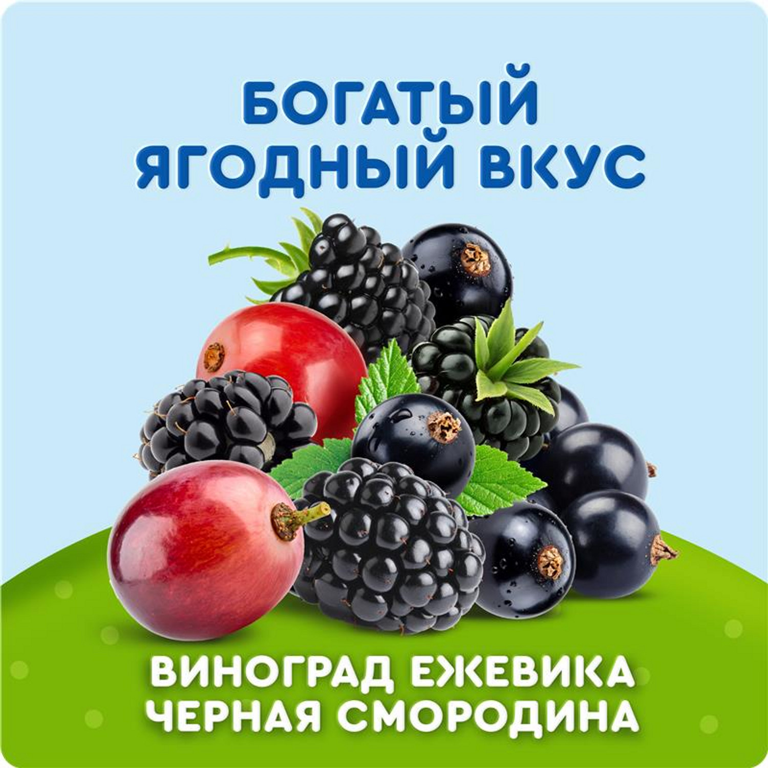 Морс Агуша Виноград ежевика 200мл - фото 2