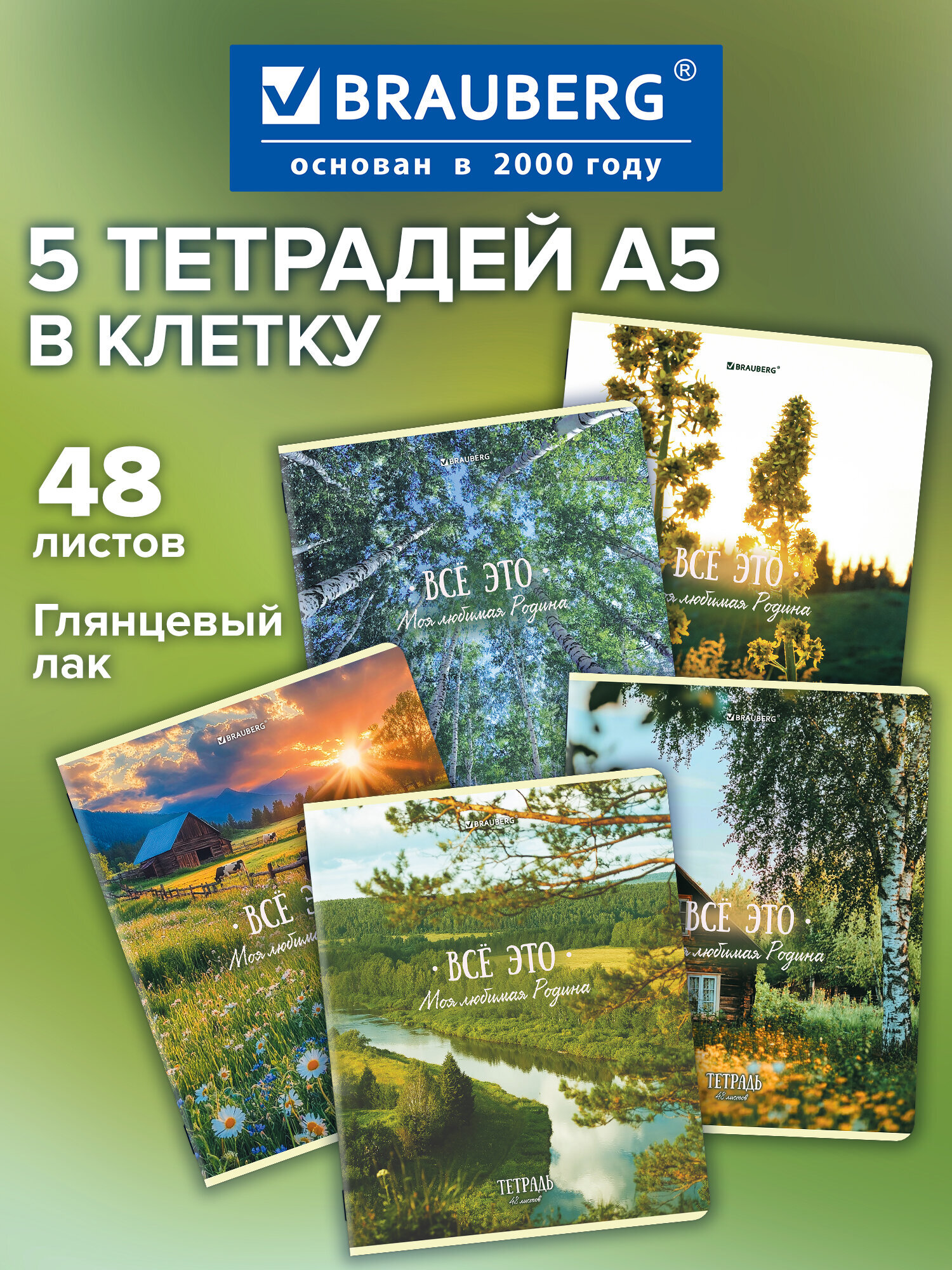 Общая тетрадь Brauberg клетка 48 лист. 5 шт. - фото 1