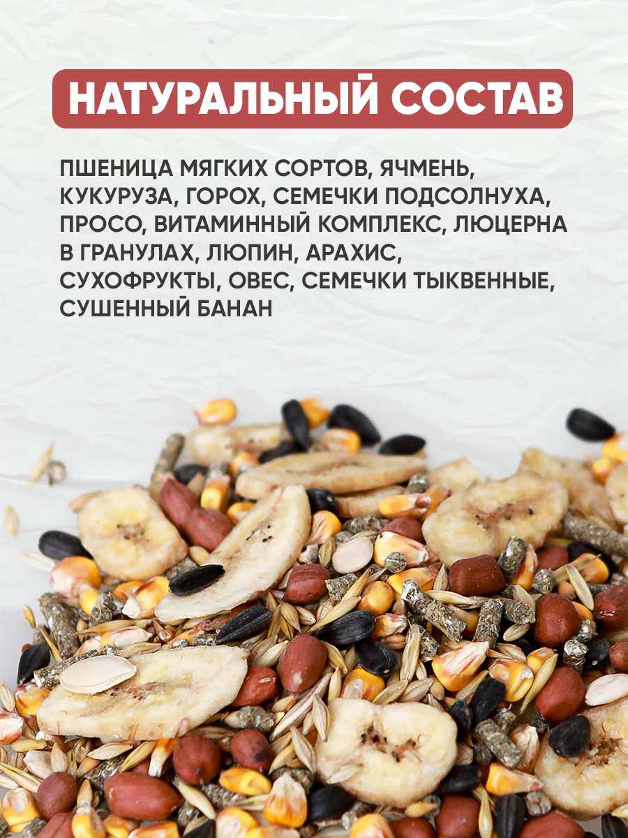 Натуральный сухой корм GRANOFEED для крыс 800г - фото 3