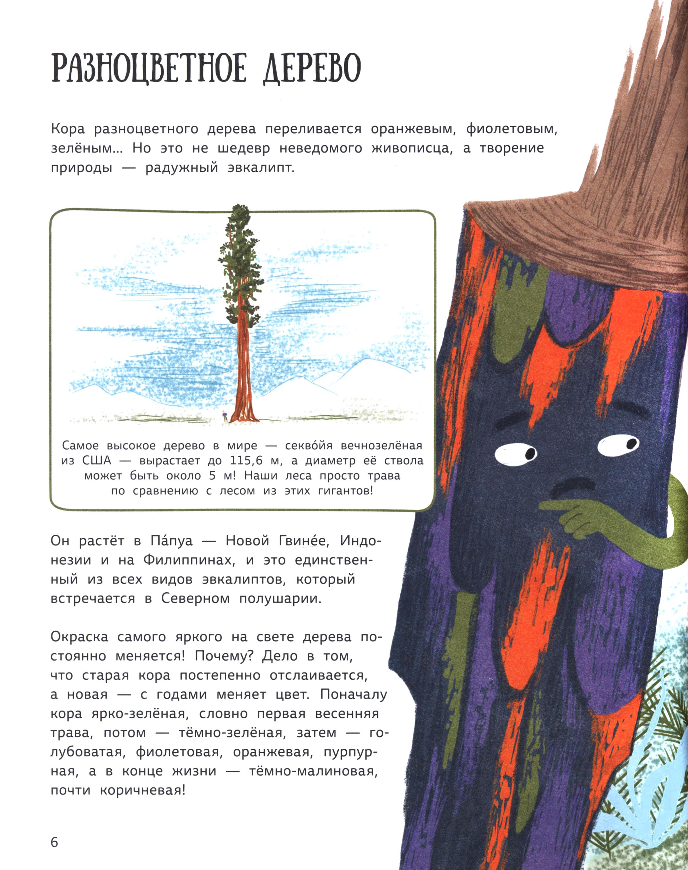 Книга Абраказябра Растения-чудаки 30 самых необычных растений - фото 7