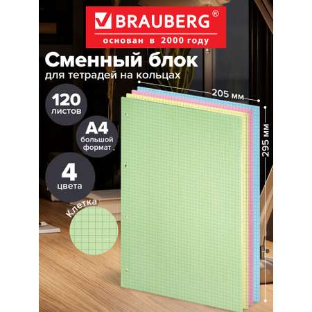 Сменный блок Brauberg клетка 120 лист.