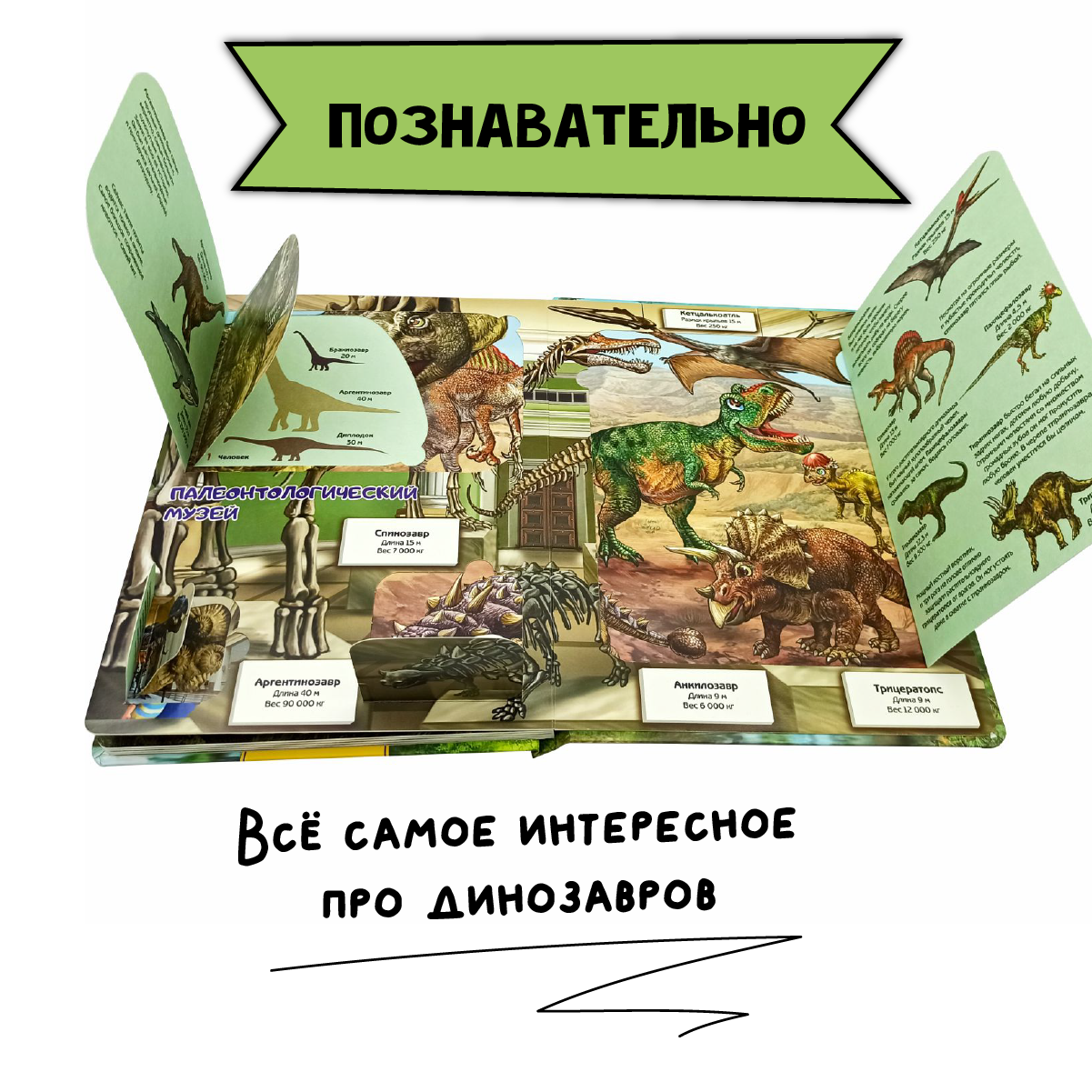 Книга BimBiMon Детская энциклопедия с окошками Динозавры - фото 3