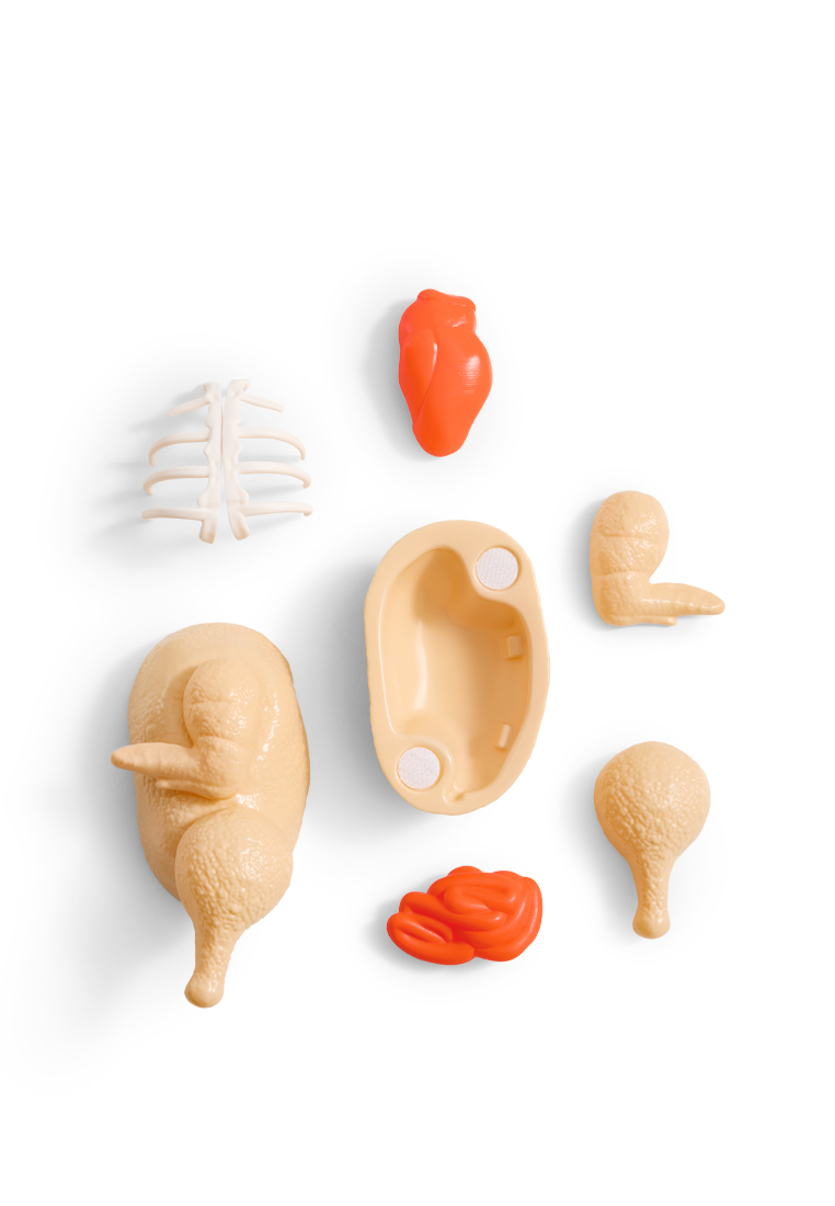 Игрушка Happy Baby Кат энд Фуд - фото 10