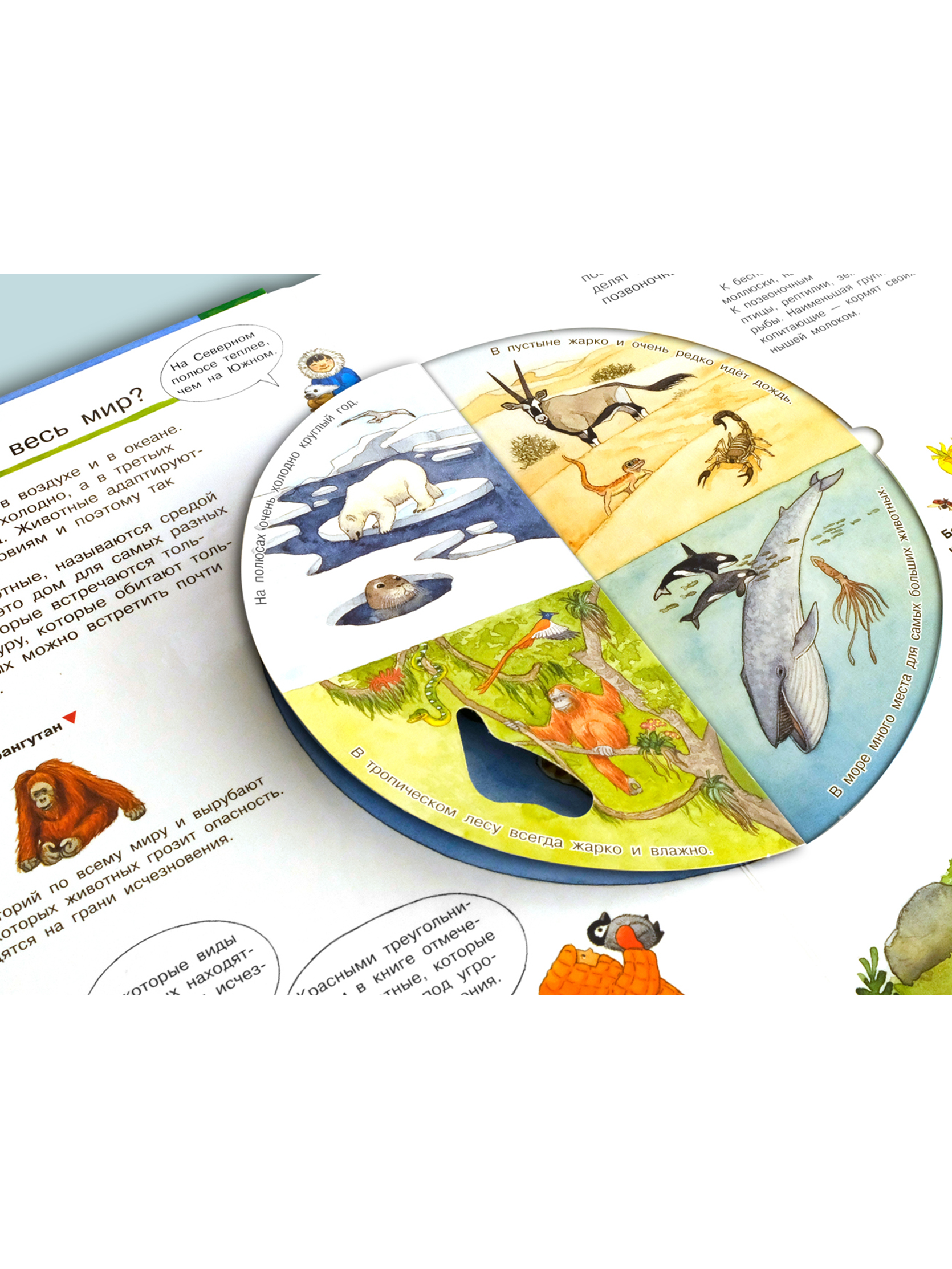 Книга Омега-Пресс Энциклопедия для детей с окошками Что? Почему? Зачем? Мой первый атлас животных - фото 16