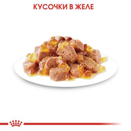 Корм влажный для кошек ROYAL CANIN Instinctive 85г желе пауч 77848