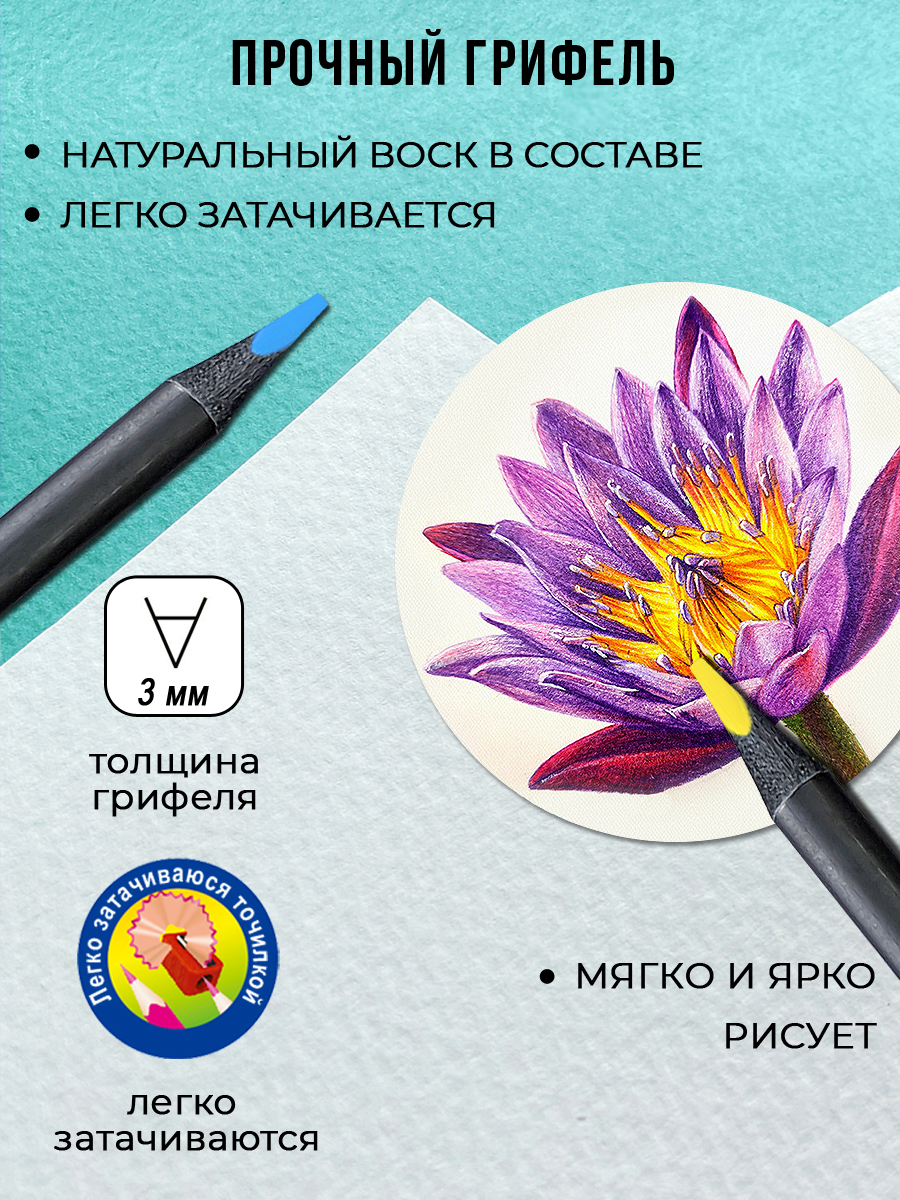Карандаши цветные ACMELIAE 12 шт. - фото 4