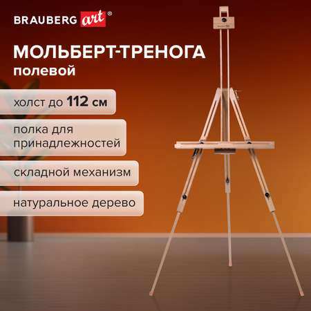 Мольберт Brauberg