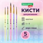 Кисть Brauberg 5 шт. (пони)