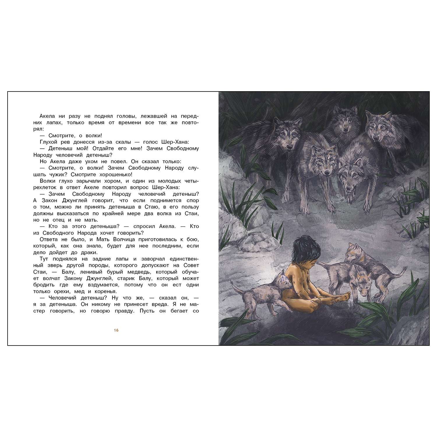 Книга СТРЕКОЗА Маугли - фото 2
