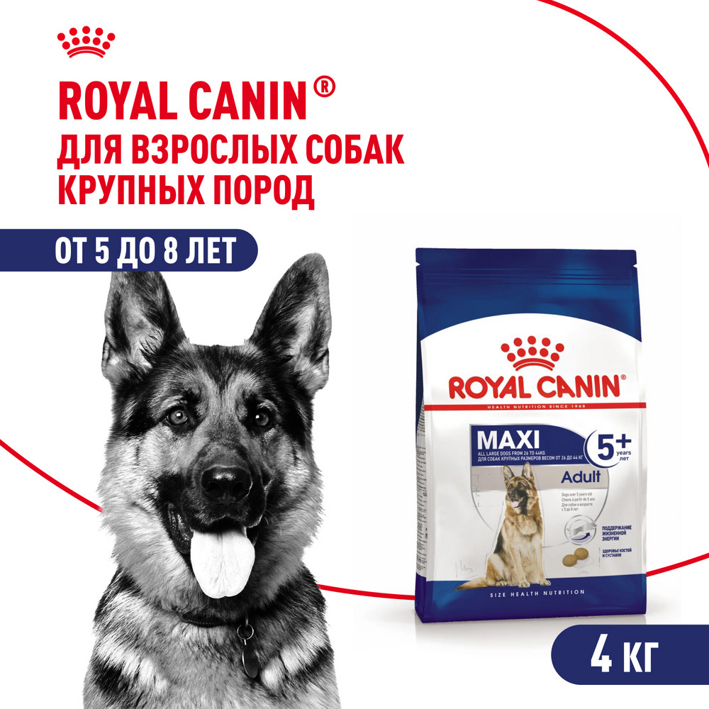 Корм для собак ROYAL CANIN Maxi Adult 5+ крупных пород 4кг - фото 1