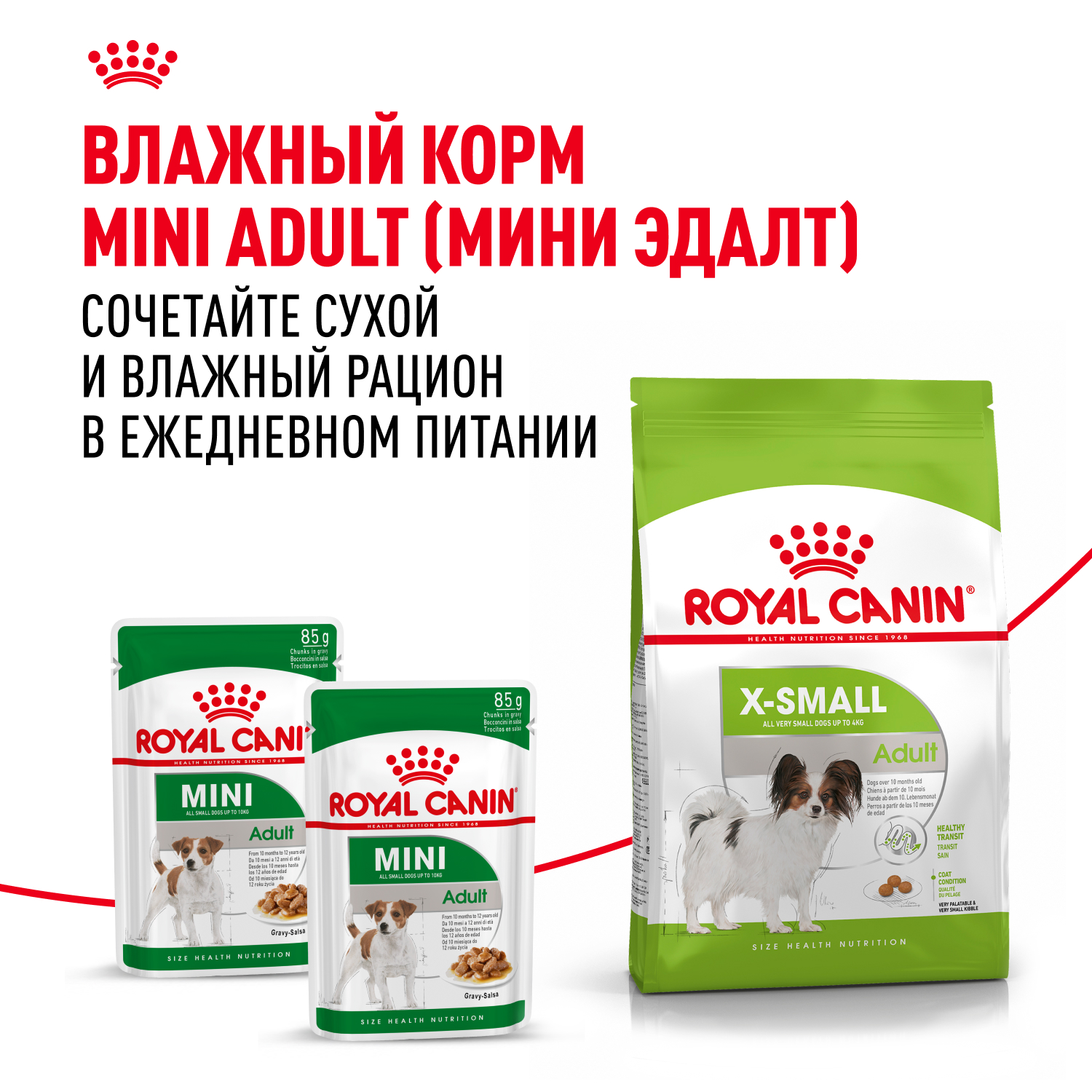Корм для собак ROYAL CANIN миниатюрных пород 1.5кг - фото 8