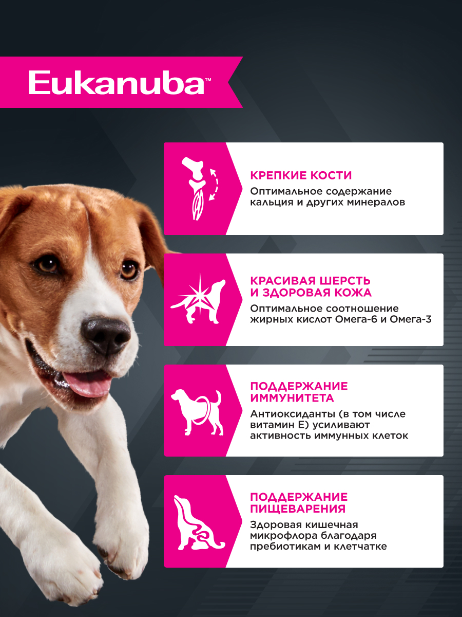 Корм для собак Eukanuba 100г с ягненком в соусе пауч - фото 2