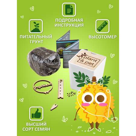 Набор для выращивания Blabar