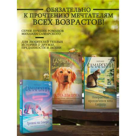 Книга АСТ Корабельные приключения кота Сократа