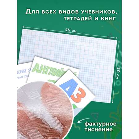 Обложка Пифагор 45 x 30 см 10 шт.