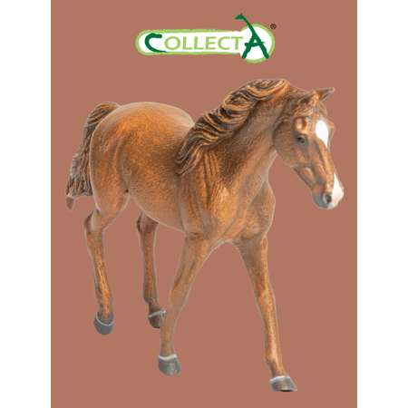 Фигурка Collecta Миссурийская кобыла