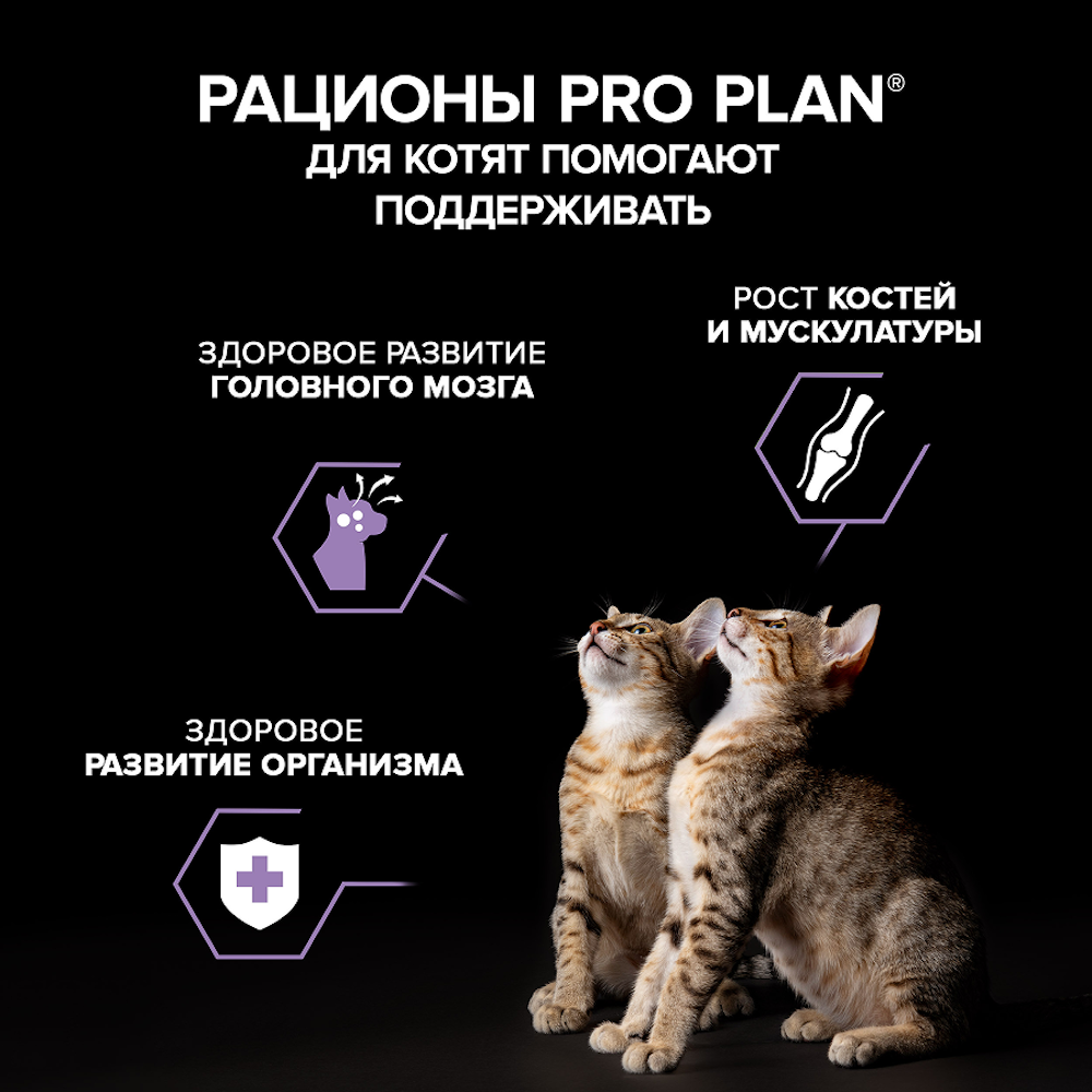 Корм для котят PRO PLAN Healthy Start паштет с индейкой 75г - фото 6
