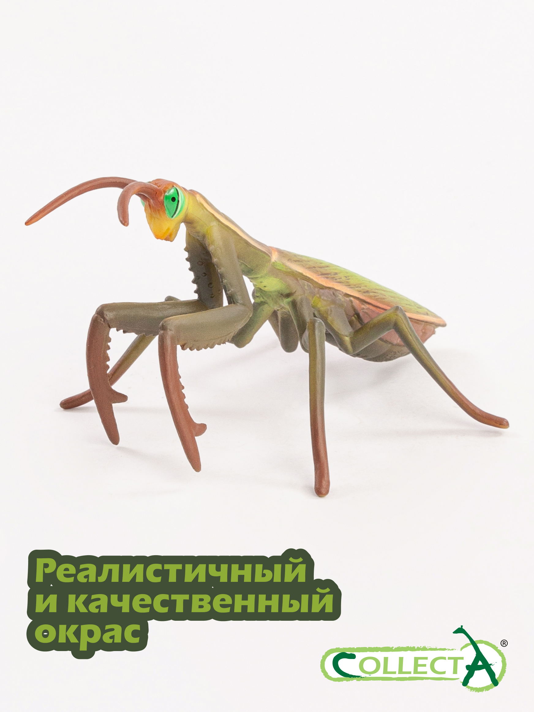 Фигурка Collecta Богомол - фото 4