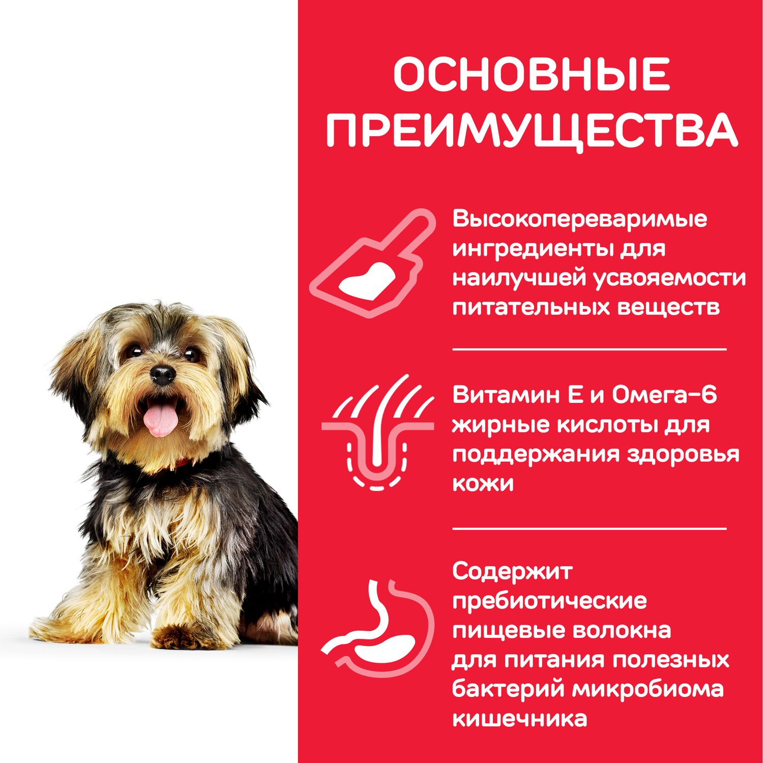 Корм для собак HILLS 1,5кг курица Science Plan Sensitive Stomach and Skin для мелких пород с чувствительной кожей и/или пищеварением - фото 5