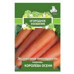 Морковь . Королева осени 2г