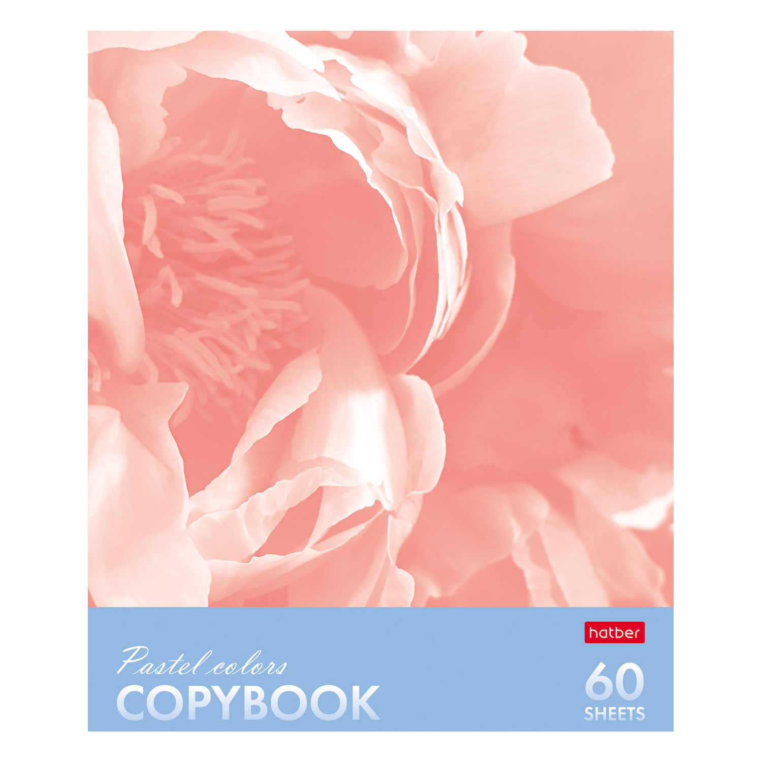 Общая тетрадь Hatber клетка 60 лист. в ассортименте - фото 6