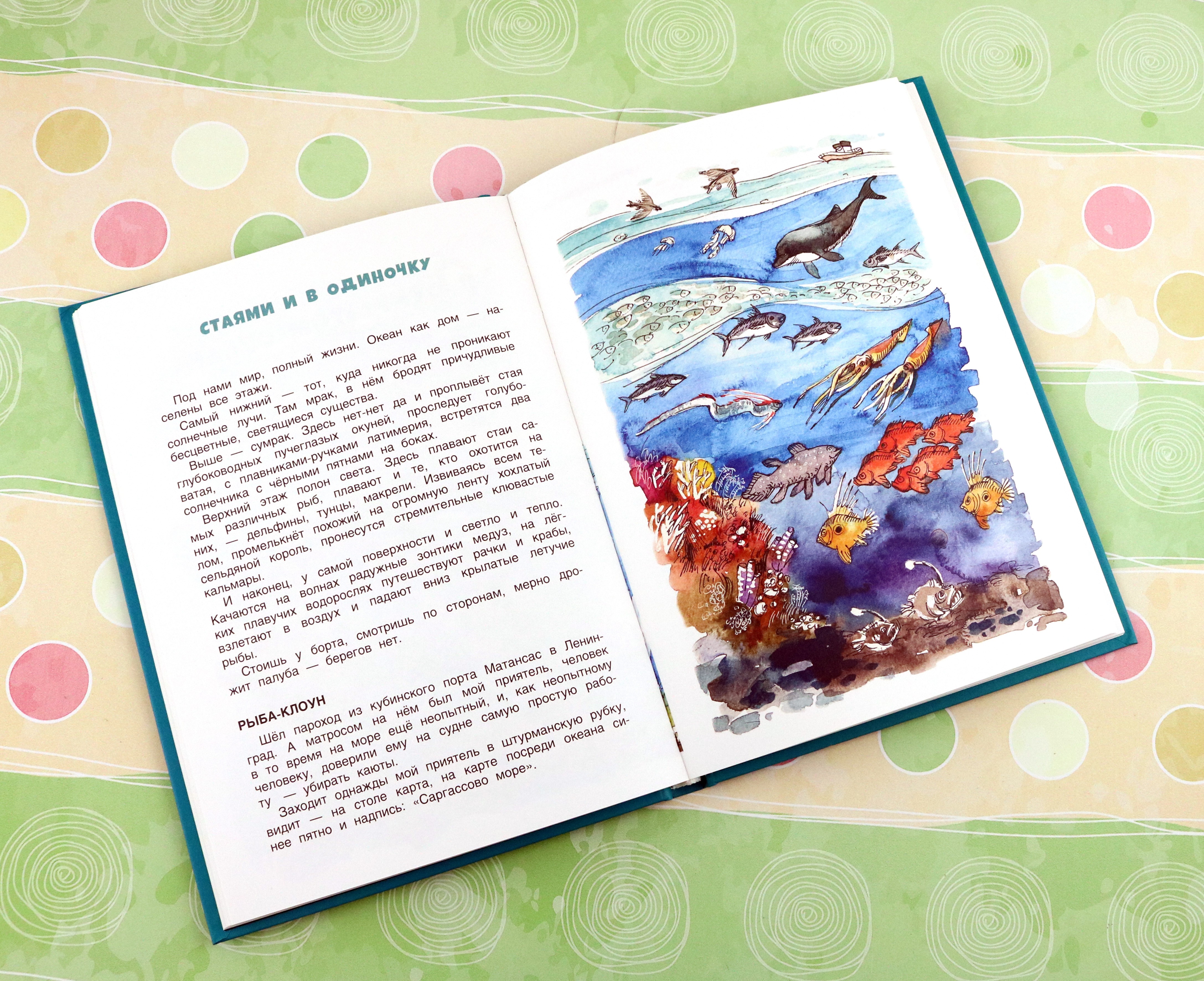 Книга Качели В мире дельфина и осьминога - фото 3