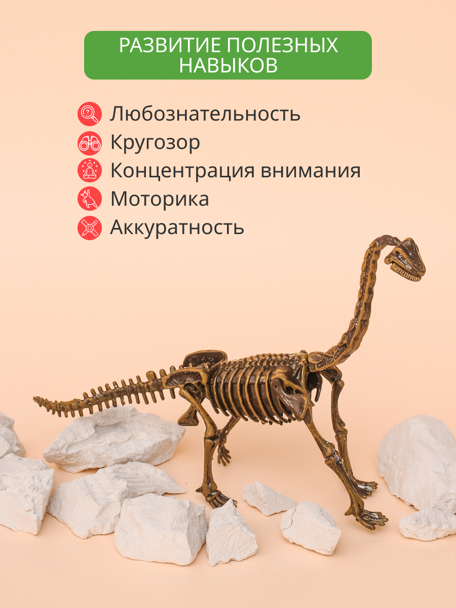 Набор для раскопок KONIK Science - фото 7