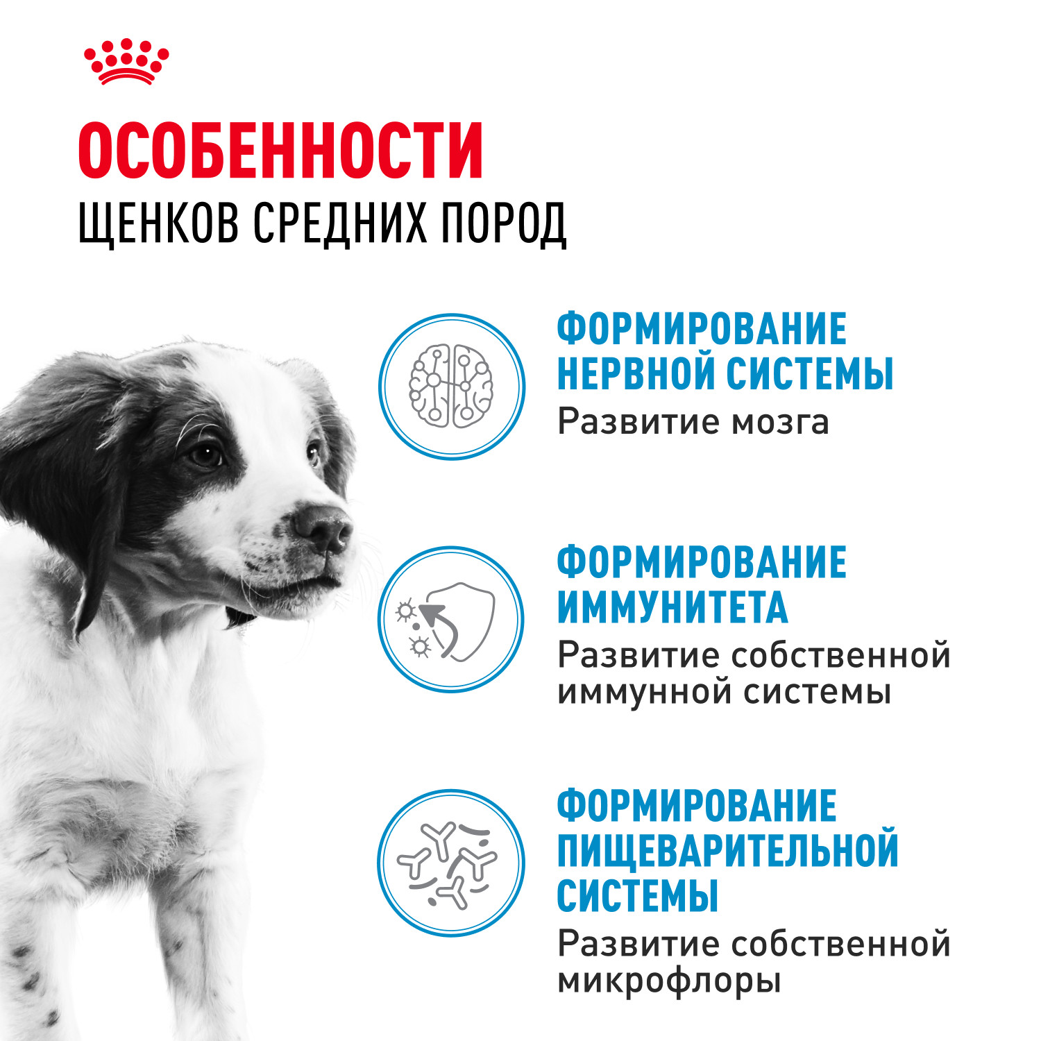 Корм для щенков ROYAL CANIN средних пород 2-12 месяцев 3кг - фото 2