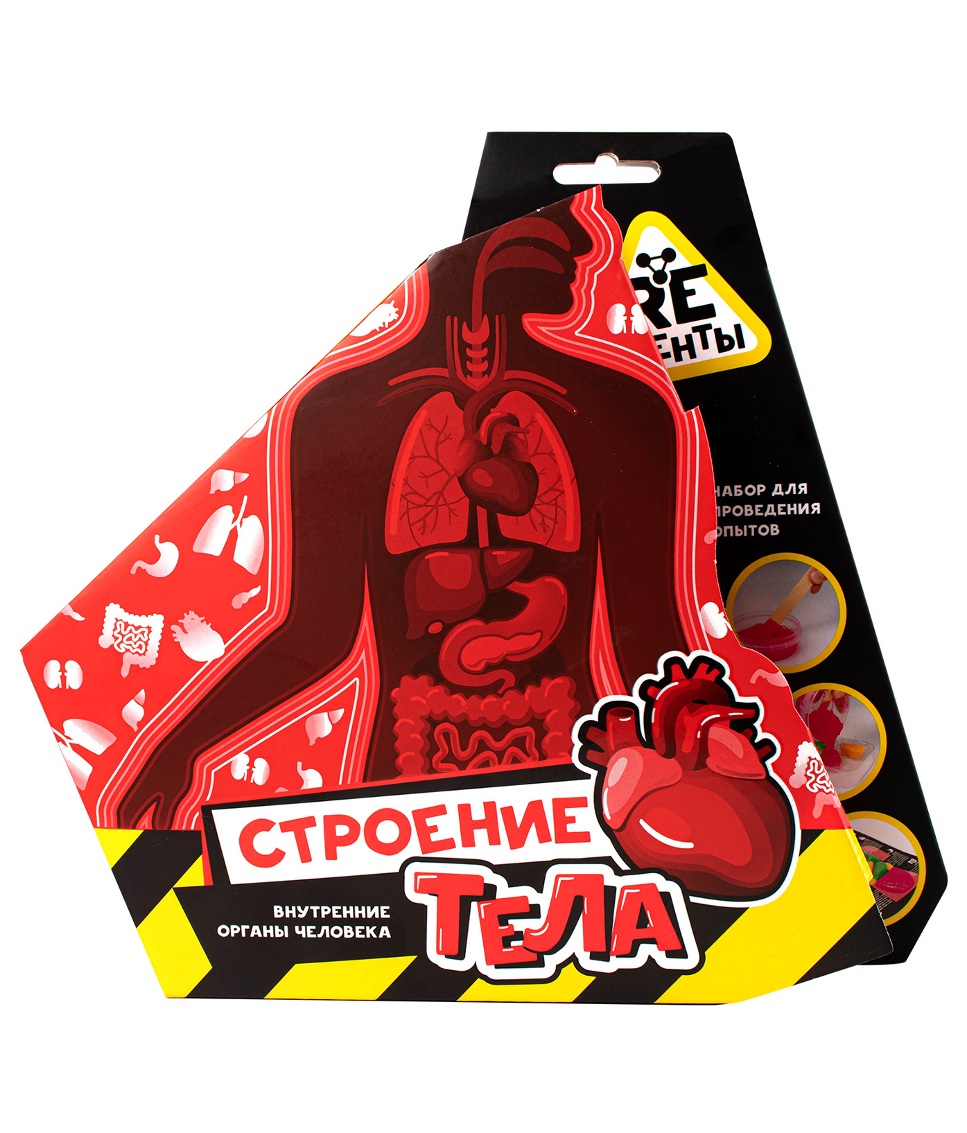 Набор для опытов Re-агенты Строение тела - фото 1