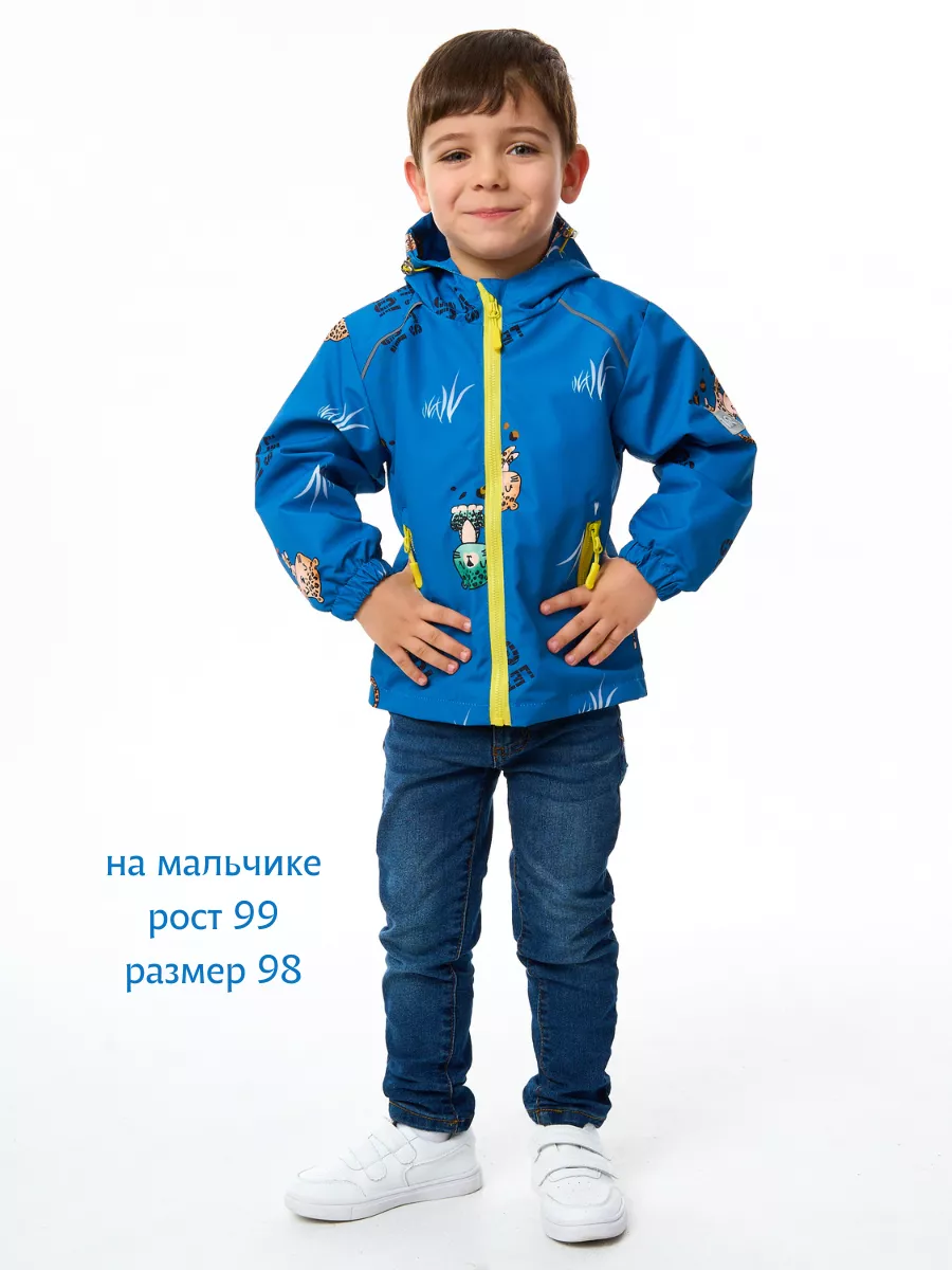 Ветровка RuStyle ДМ-веттор-леосин - фото 2