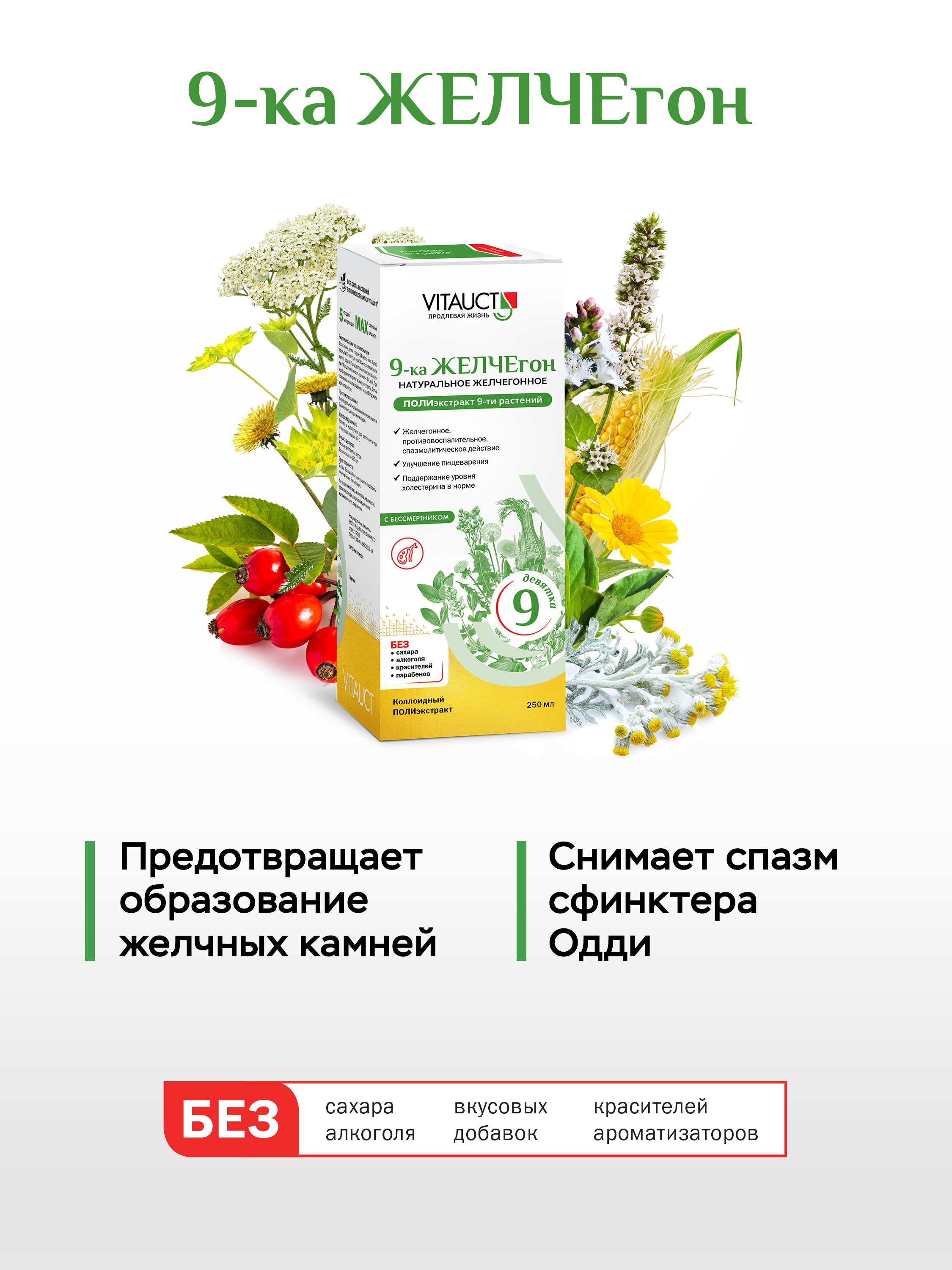 БАД VITAUCT 9-ка ЖЕЛЧЕгон - фото 5