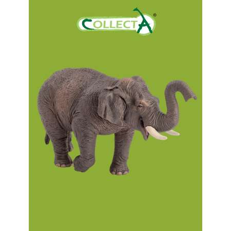 Фигурка Collecta Азиатский слон