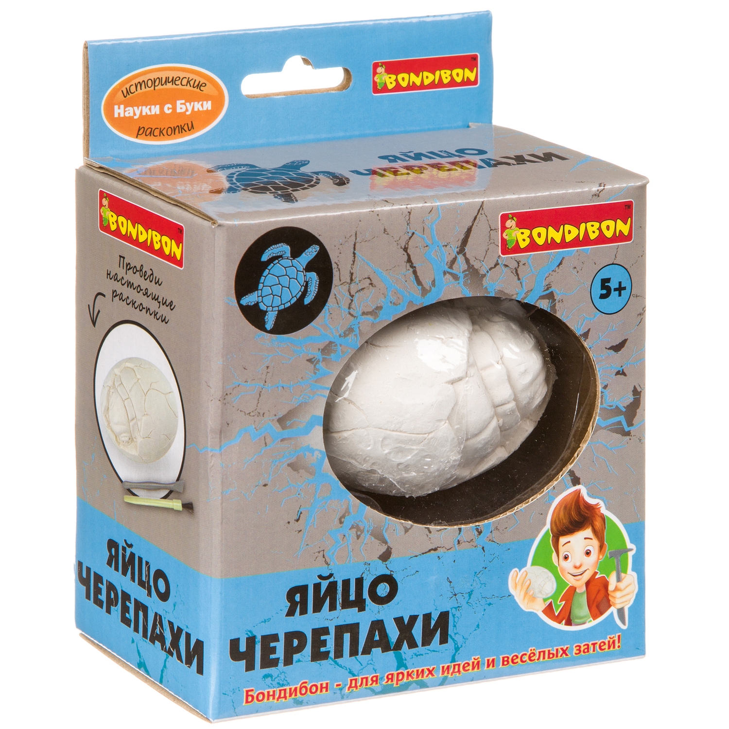 Набор для раскопок Bondibon палеонтология: Яйцо черепахи - фото 3