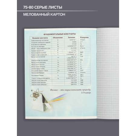 Общая тетрадь Calligrata клетка 48 лист. 1 шт.