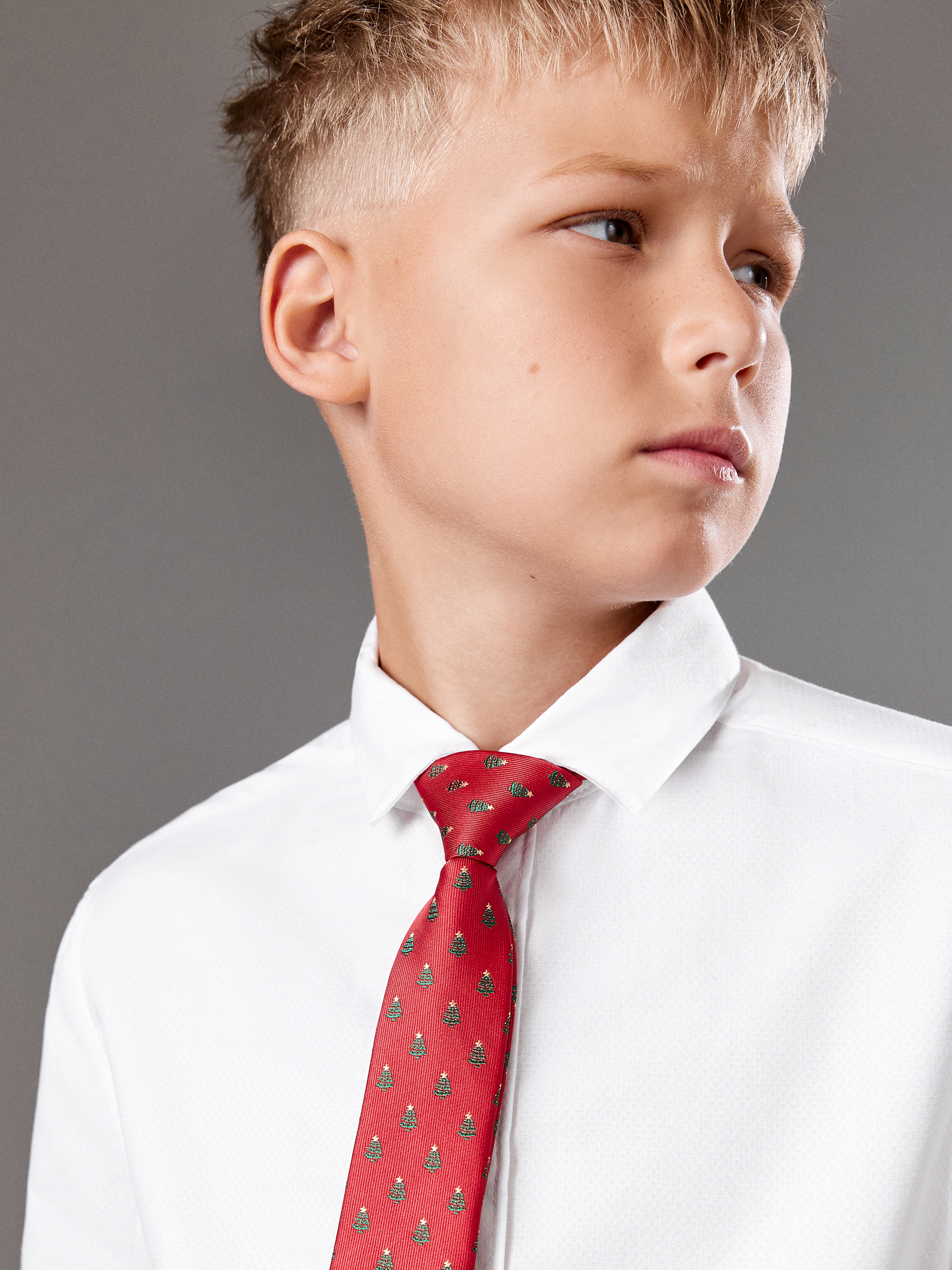 Галстук Acoola 20106460106_0093587 - фото 5