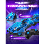 Автомобиль РУ Terra Sect