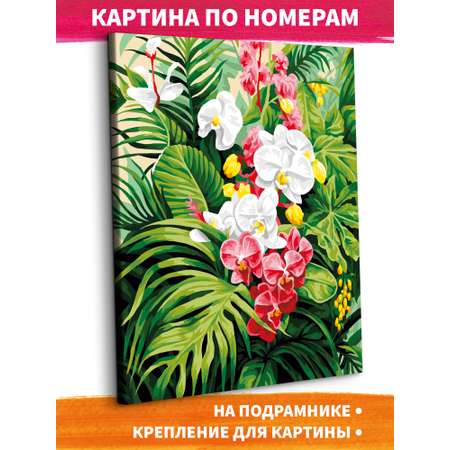Картина по номерам Это просто шедевр Дикая орхидея в ассортименте