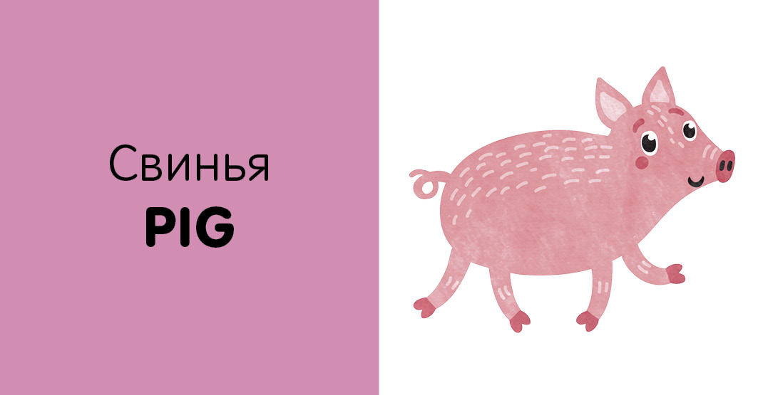 Книга Clever познаем мир вместе Английский язык Животные - фото 4