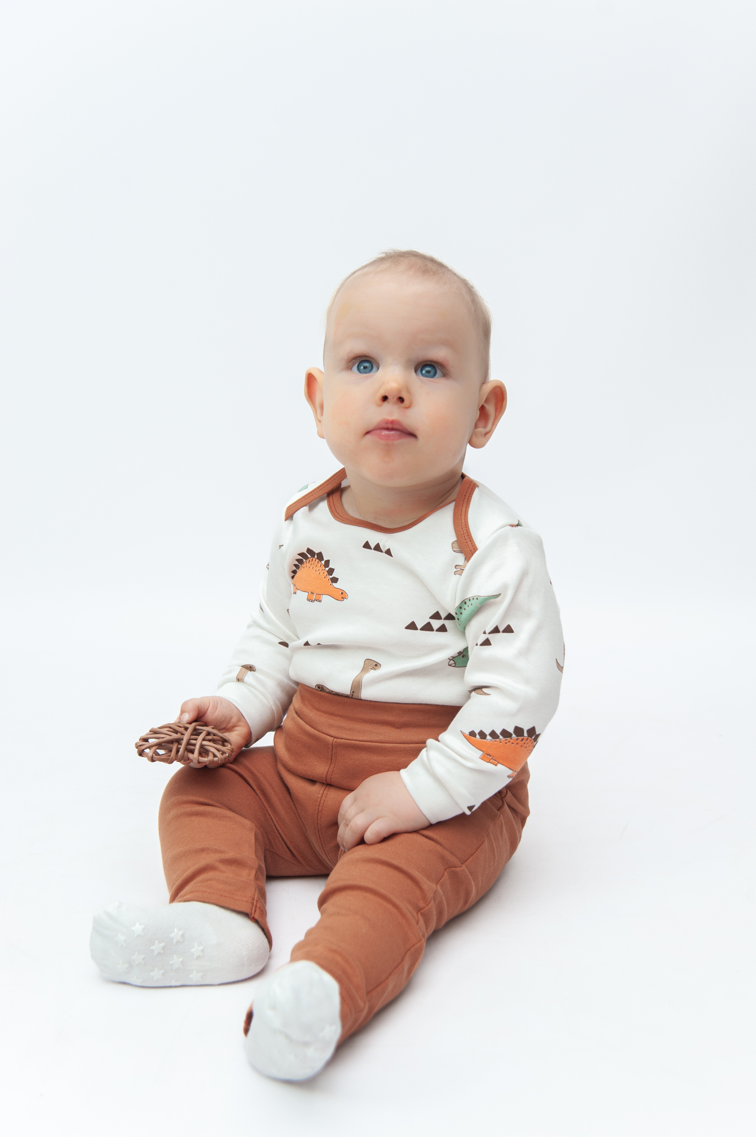 Комплект ЯРКО 05060 ИК Дино/терракот - фото 1