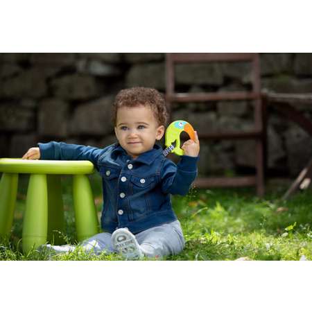 Прорезыватель Chicco