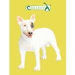 Фигурка Collecta